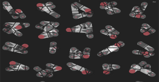 Compositions for the Infinite Scroll #16